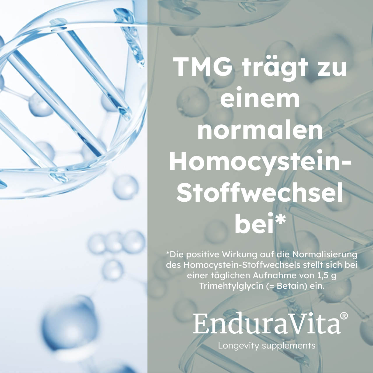 TMG capsules 500mg - 60 capsules