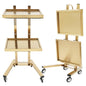 2 Tier Metal Rolling Cart Stainless Steel Salon Tray with Wheels Foldable Utility Carts Folding Salon Tray Trolley Rolling Tray Salon Trolley for Tattoo (Golden)